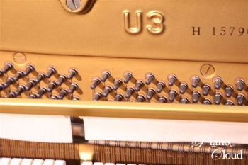 U3H